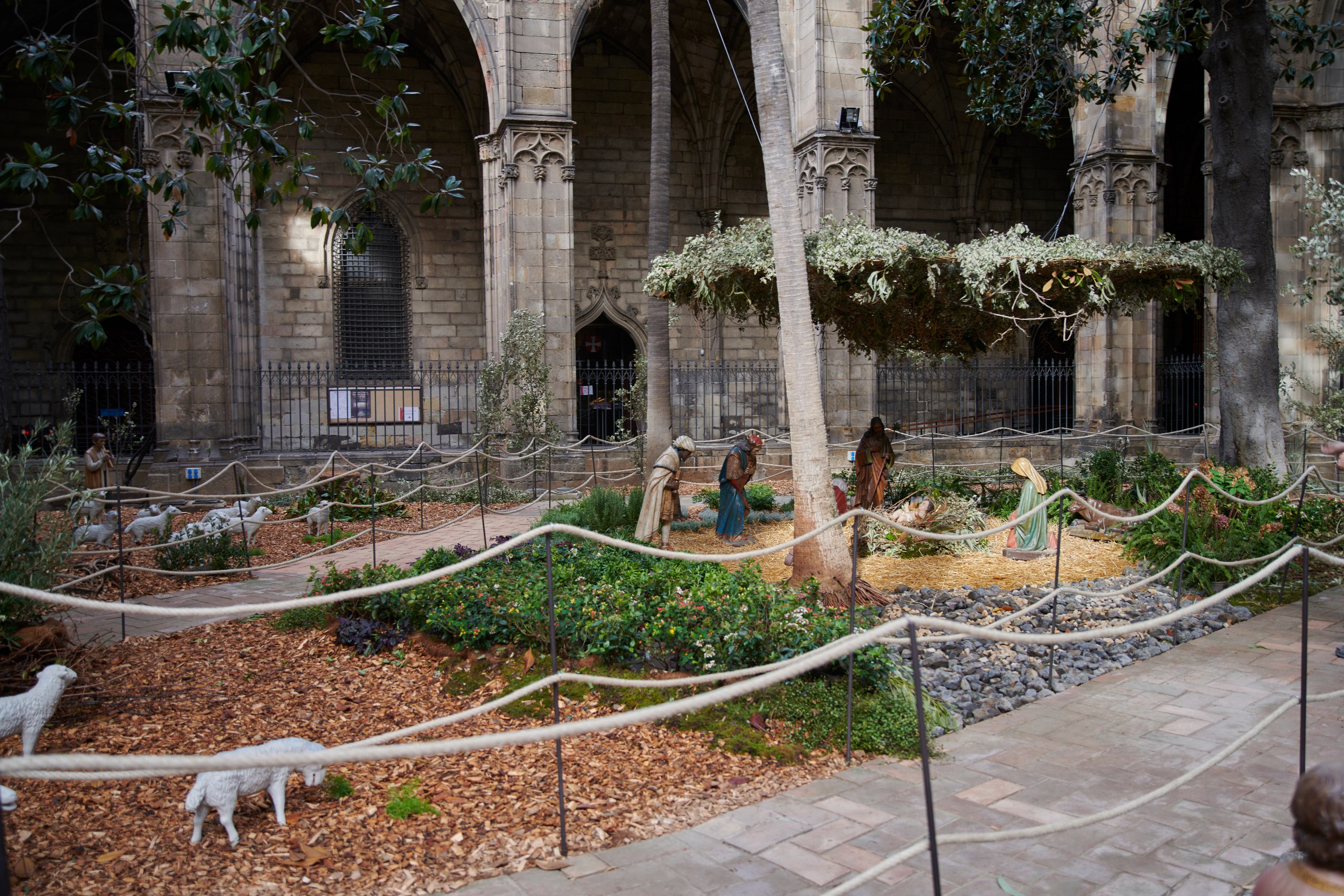 El pessebre de la Catedral de Barcelona es renova amb un disseny sostenible i potenciant la vegetació