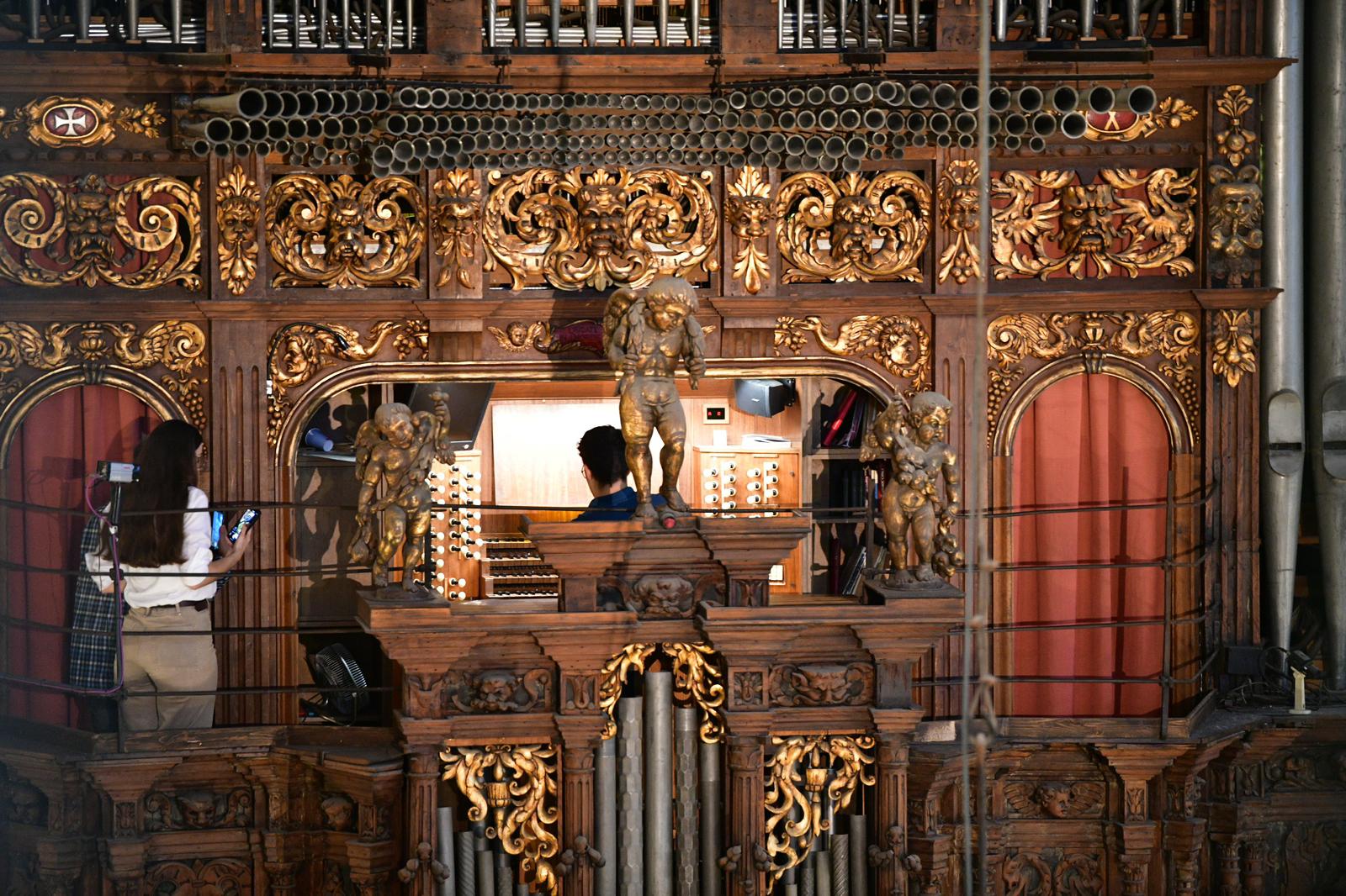 El Cicle d’Orgue de la Catedral reafirma la seva vocació internacional i aposta pel futur